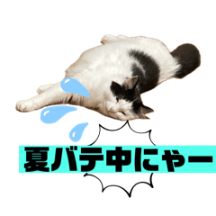 sarnya5