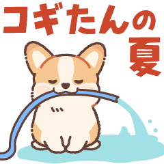 Pop up! Corgi Contact Sticker(Summer)