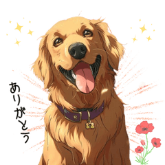 Golden Retriever Gon-chan