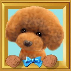 [Poodle] Pop-up! like a picture book
