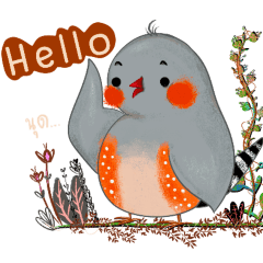 Zebra Finch playful active cute bird