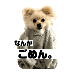 akanen_20240630185443