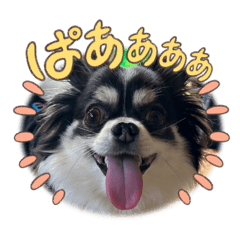 maemon_20240630223931