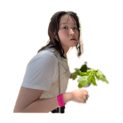 Mitsuki_20240630032241