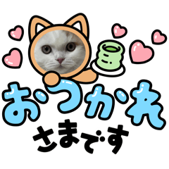 Omochi-Haru