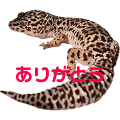 tori_202407011307554