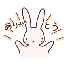 Rabbits in Daily Life