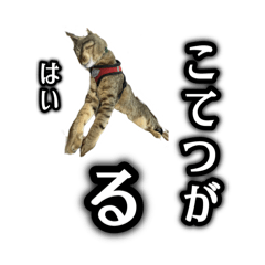 Aokibar_20240630154147