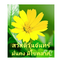 happyday8 มีความสุขทุกวัน