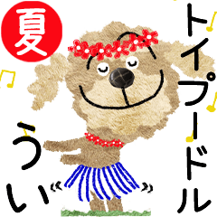 Toy poodle "UI" 2024SUMMER