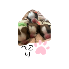 chi-ha_20240701193045