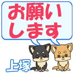 Kamitsuka's letters Chihuahua2