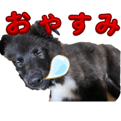 moo_20240701194703