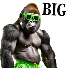 big summer gorilla