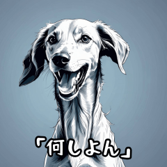 A talking Saluki (in Okayama dialect)