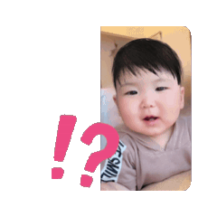 Ponchi_20240702110048