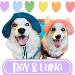 WOOFME WITH RAY & LUNA