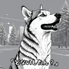 Talking Husky Dog (nagoya Dialect)