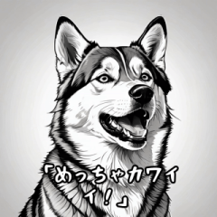 Talking Husky Dog (nagoya Dialect)2