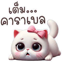 White cat, round body, cute, fully made