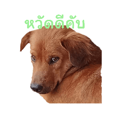 khainuy เองครับ