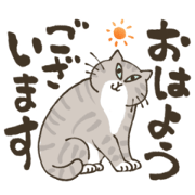 kurumushi cat4