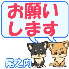 尾之内「おのうち」用でか文字チワワ２