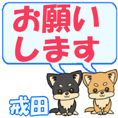 戒田「えびすた」用でか文字チワワ２