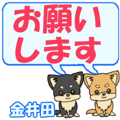 金井田「かねいだ」用でか文字チワワ２