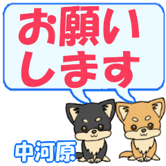 中河原「なかかわら」用でか文字チワワ２