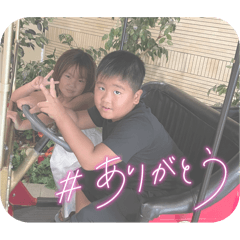 kokke_20240702202642