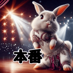 Rabbit doing belly dance