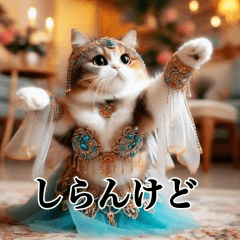 Belly Dancing Cats3