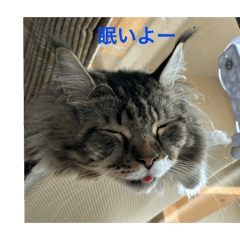 sy_20240703135747