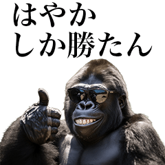 [Hayaka] Funny Gorilla stamps to send