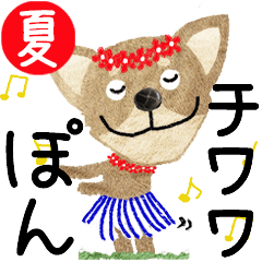 Chihuahua "PON" 2024SUMMER