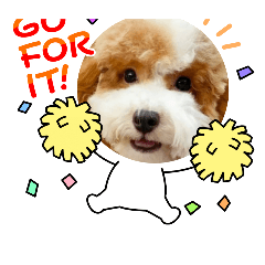 啊Bobo