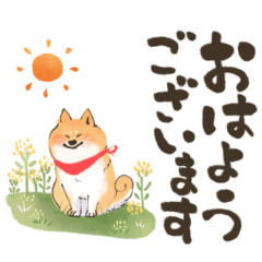 kurumushi dog