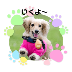 よろしくカニヘンダックス