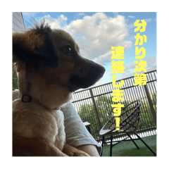 Ayuna._20240702172253