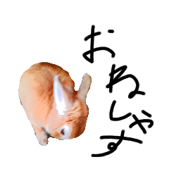 isa_20240703181029