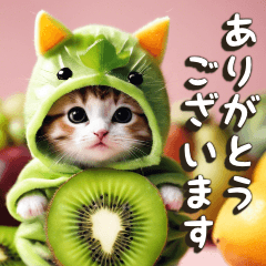 Saudações/Gato fantasiado de fruta. #02