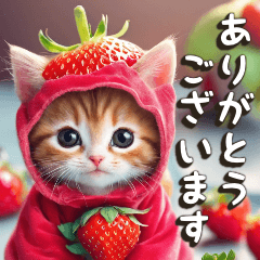 인사 / 딸기 의상을 입은 고양이