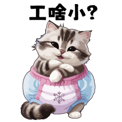尿布貓貓台語嗆人♥