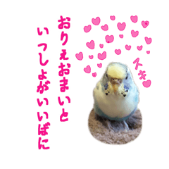 個性を出したい方へおくるインコスタンプ3