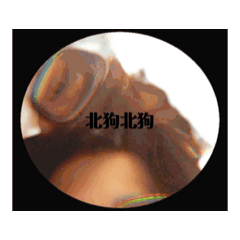 第一組動動貼圖修正-2