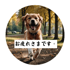 AI Dog 7th (Japan,English,China,Korea)