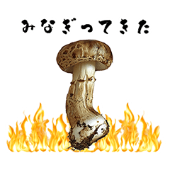 Mushroom phrase in Japanese