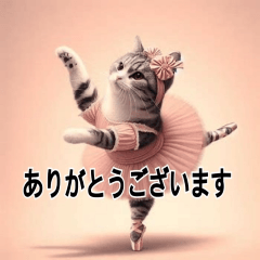 A cat dancing ballet