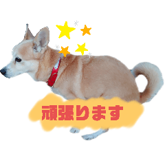 Rutty_20240704134858